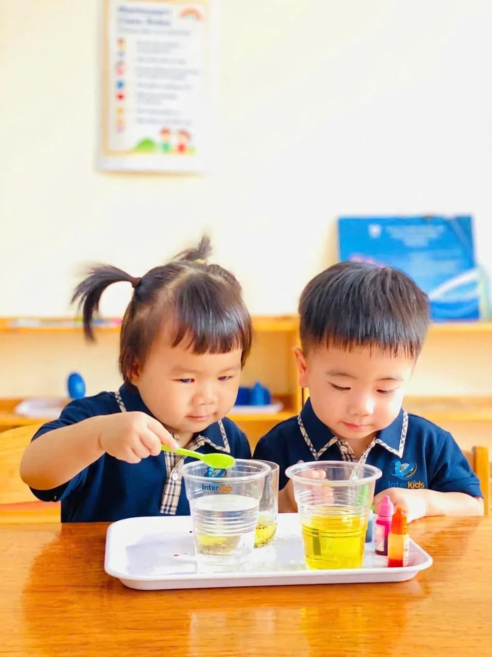Hoạt động STEAM tại InterKids Hạ Long