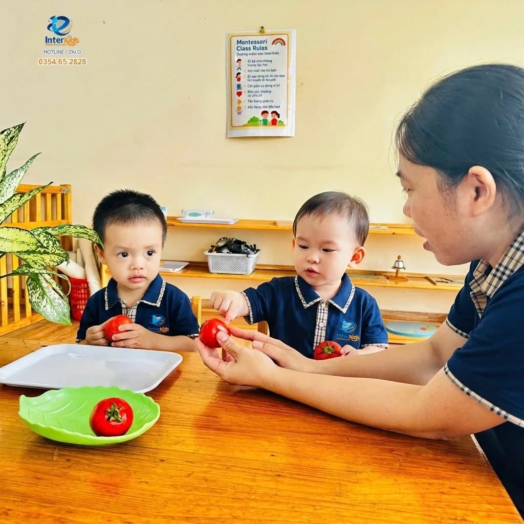 Không gian học tập mầm non InterKids Hạ Long